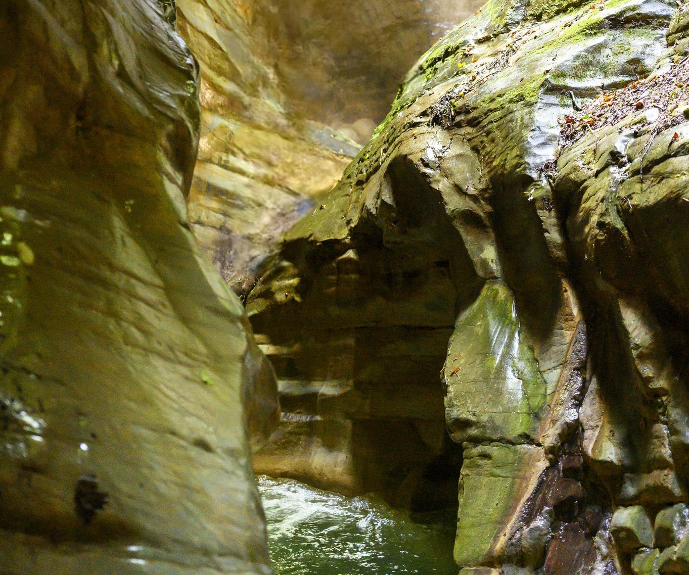 Uscita naturalistica al Canyon della Sorna