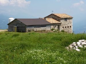 Malga Montagnola