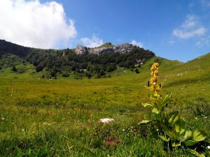 Bocca del Creèr